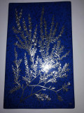 Placa aplica ceramica de perete Gustavsberg intarsie incrustatii de argint
