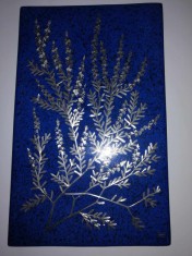 Placa aplica ceramica albastra albastru inchis de perete Gustavsberg de Heinz Erret flori Calluna vulgaris intarsie incrustatii de argint
