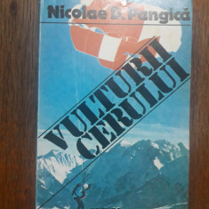 Vulturii cerului - Nicolae Pangica, aviatie, parasutism / R2P1F