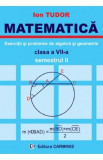 Matematica. Exercitii si probleme de algebra si geometrie - Clasa 7 - Semestrul 2 - Ion Tudor