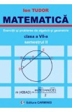 Matematica. Exercitii si probleme de algebra si geometrie - Clasa 7 - Semestrul 2 - Ion Tudor