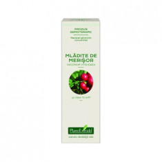 Extract concentrat din mladite de merisor, 15ml, PlantExtrakt