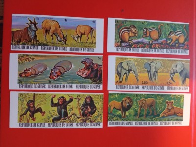 GUINEA, FAUNA - MNH IMPERF. foto