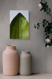 Tablou Canvas cu motiv de frunze, artă naturală pentru interior, 26 x 39 cm, CMCLASS