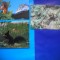 HOPCT LOT NR 448 VEVERITA/VEVERITE -FAUNA -3 CARTI POSTALE-CIRCULATE