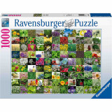 Cumpara ieftin Puzzle 99 De Plante Si Condimente, 1000 Piese, Ravensburger