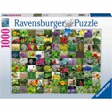 Puzzle 99 De Plante Si Condimente, 1000 Piese, Ravensburger
