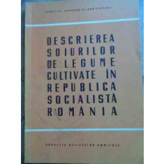 Descrierea Soiurilor De Legume Cultivate In Republica Sociali - Colectiv ,528709