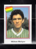 B10 - Sticker fotbal - Campionatul mondial USA - 1994 - nr 176
