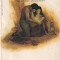 John Steinbeck - The Pearl