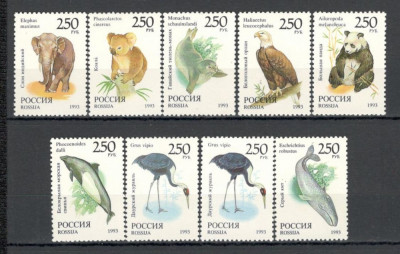 Rusia.1993 Fauna+EROARE culoare SR.29 foto