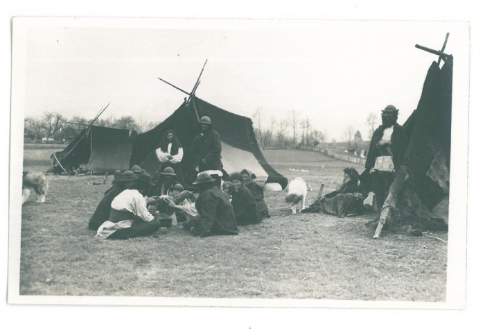 1452 - ETHNIC, Gypsy, Tigani, Satra - old postcard, real PHOTO - unused - 1937