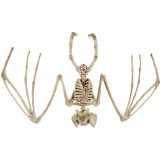 Schelet de liliac pentru decor Halloween 30 cm Malatec