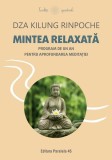 Mintea relaxată - Paperback brosat - Paralela 45