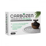 Carbozen Carbune Activ 500 miligrame 30 capsule Rotta Natura