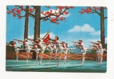 FS1 - Carte Postala - CHINA - Red Detachament of Women, circulata 1975, Fotografie