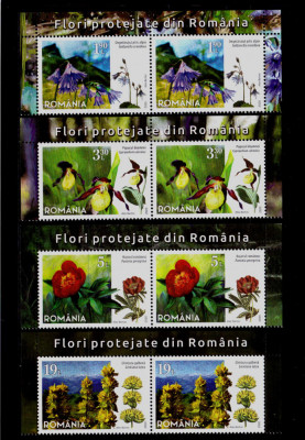RO 2020 ,LP 2296 &amp;quot; Flori protejate din Romania&amp;quot;, serie pereche+margine sus,MNH foto