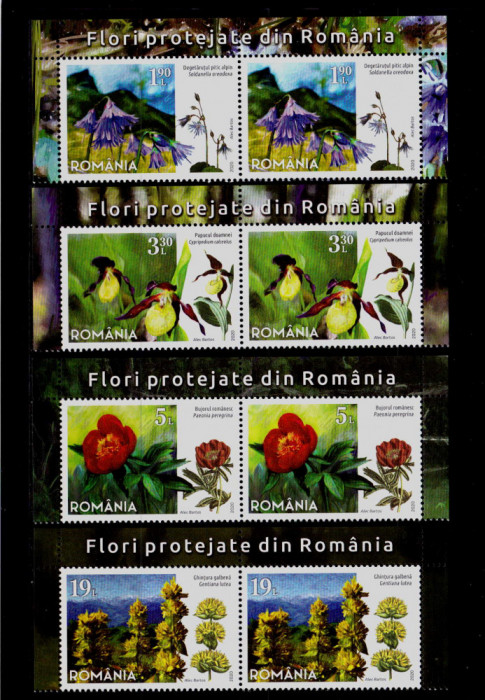 RO 2020 ,LP 2296 &quot; Flori protejate din Romania&quot;, serie pereche+margine sus,MNH