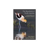 The Shorebirds of North America: A Natural History and Photographic Celebration