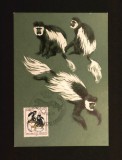 R.D.G. (DDR) 1986 - Carte Poștală Maximă "Aniversarea a 125 de Ani de la &Icirc;nființarea Grădinii Zoologice din Dresda / Maimuțe Guereza" - Cod: -A992