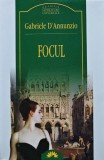 Cumpara ieftin Focul - 2004 - Gabriele D Annunzio (AK26)
