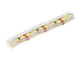 Bandă LED alb rece 12V IP68 6W/m