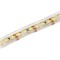 Bandă LED alb rece 12V IP68 6W/m