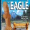 Chainsaw Carving an Eagle: A Complete Step-By-Step Guide