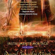 Orasul Ingerilor Cazuti | Cassandra Clare