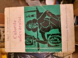 Culorile adevărului vintage