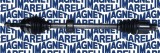 MAGNETI MARELLI 302004190086 Planetara