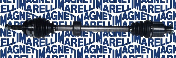 MAGNETI MARELLI 302004190086 Planetara