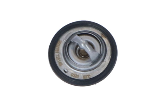 NRF 725146 EASY FIT termostat,lichid racire