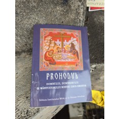 Prohodul Domnului, Dumnezeului și M&acirc;ntuitorului nostru Iisus Hristos - N/A