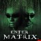 Joc PS2 Enter The Matrix