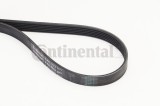 CONTINENTAL CTAM 6PK1173 Curea transmisie cu caneluri