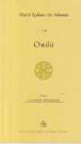 Sfantul Epifanie de Salamina - Omilii