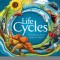 Life Cycles: Everything from Start to Finish