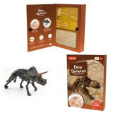 Kit excavare - Dinozaur Magnoidz + 10 ani