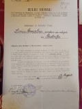 Document Cardinal Iuliu Hossu
