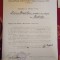 Document Cardinal Iuliu Hossu