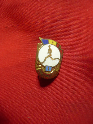 Insigna sportiva - Polisportiv cl.I - h=1,7cm- Romania foto