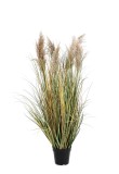 Cumpara ieftin Pampas artificial in ghiveci 80x120 cm