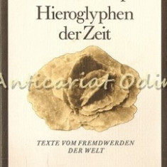 Hieroglyphen Der Zeit, Texte Vom Fremdwerden Der Welt - Dietmar Kamper