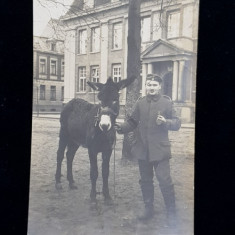 SOLDAT GERMAN CU UN MAGARUS , FOTOGRAFIE TIP CARTE POSTALA , MONCOROMA, CIRCULATA , DATATA 1919