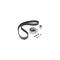 Kit distributie VW PASSAT Variant 3B5 DAYCO KTB442