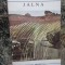 Mazo de la Roche - Jalna