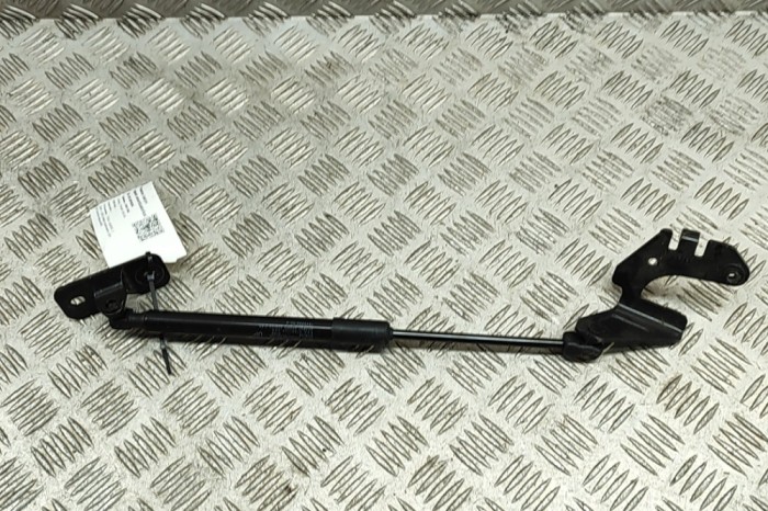 Amortizor capota st&acirc;nga față TESLA MODEL 3 2022 OEM: 1645989-00-A,1645975-00-A 31381834