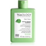 Teaology Matcha Tea Repair Shampoo șampon pentru &icirc;ntărirea părului 250 ml