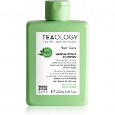 Teaology Hair Matcha Repair Shampoo șampon pentru întărirea părului 250 ml